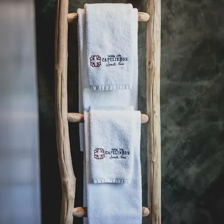 Casal Dos Capelinhos - Douro