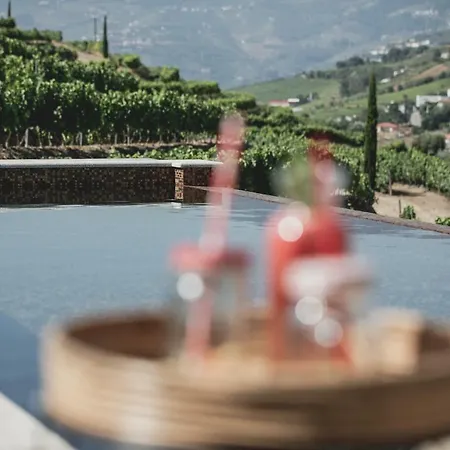 Casal Dos Capelinhos - Douro 酒店 Santa Marta de Penaguião