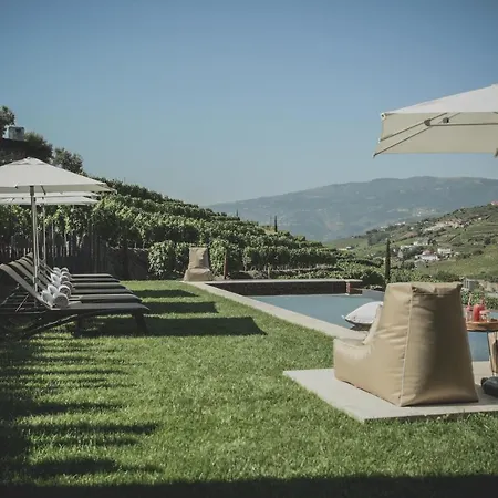 Casal Dos Capelinhos - Douro Santa Marta de Penaguião