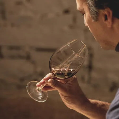 Casal Dos Capelinhos - Douro Hotel Santa Marta de Penaguião