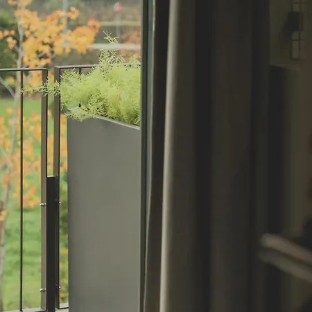 Casal Dos Capelinhos - Douro Santa Marta de Penaguião