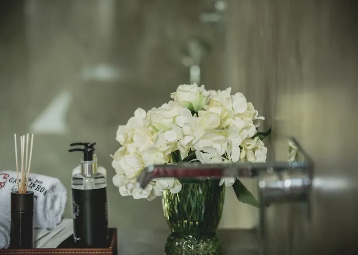 Casal Dos Capelinhos - Douro