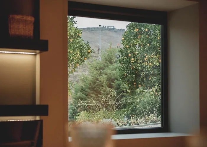 Casal Dos Capelinhos - Douro 3* Santa Marta de Penaguião