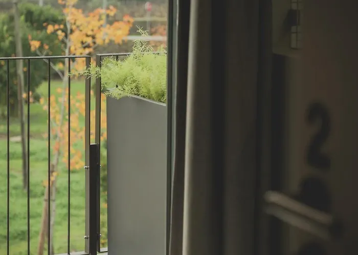 Casal Dos Capelinhos - Douro Santa Marta de Penaguião